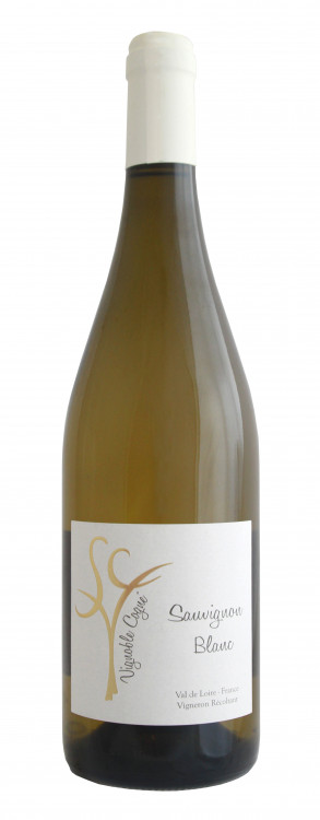 Vignoble Conge Sauvignon blanc